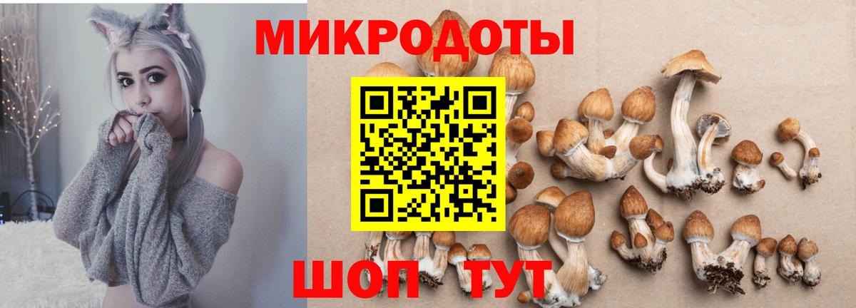 Воткинск  Галлюциногенные грибы прущие грибы  Вход с VPN  Псилоцибиновые грибы MAGIC MUSHROOMS 